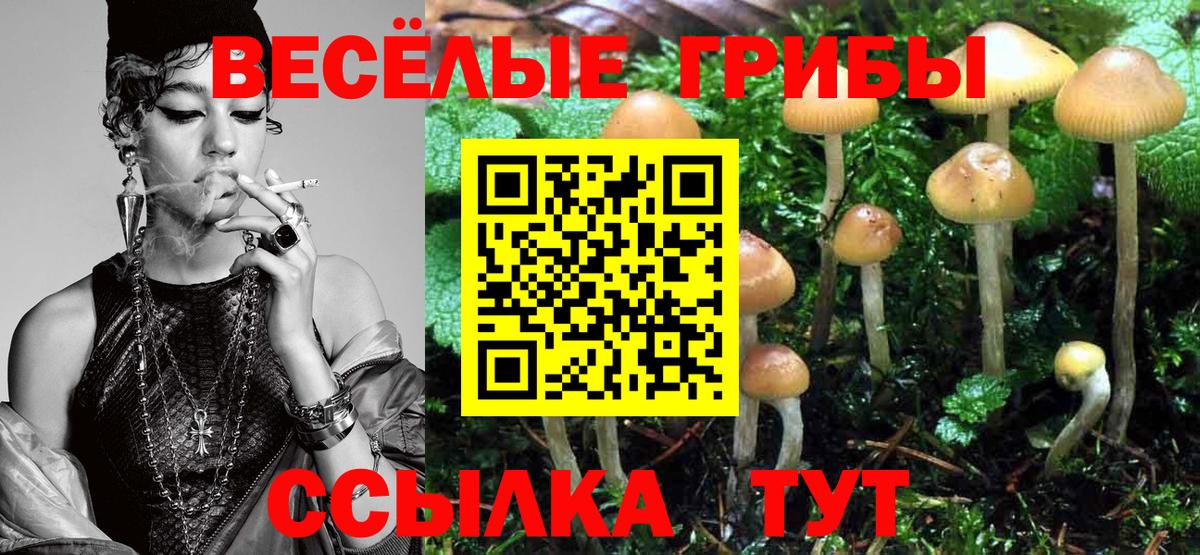 Галлюциногенные грибы мухоморы Астрахань